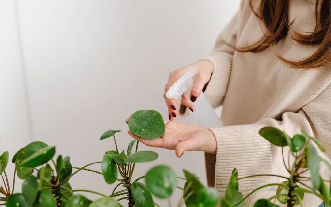 From Wabi Sabi Futures to The Understory Art Therapy